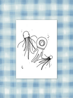 Little Jelly
