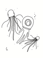 Little Jelly